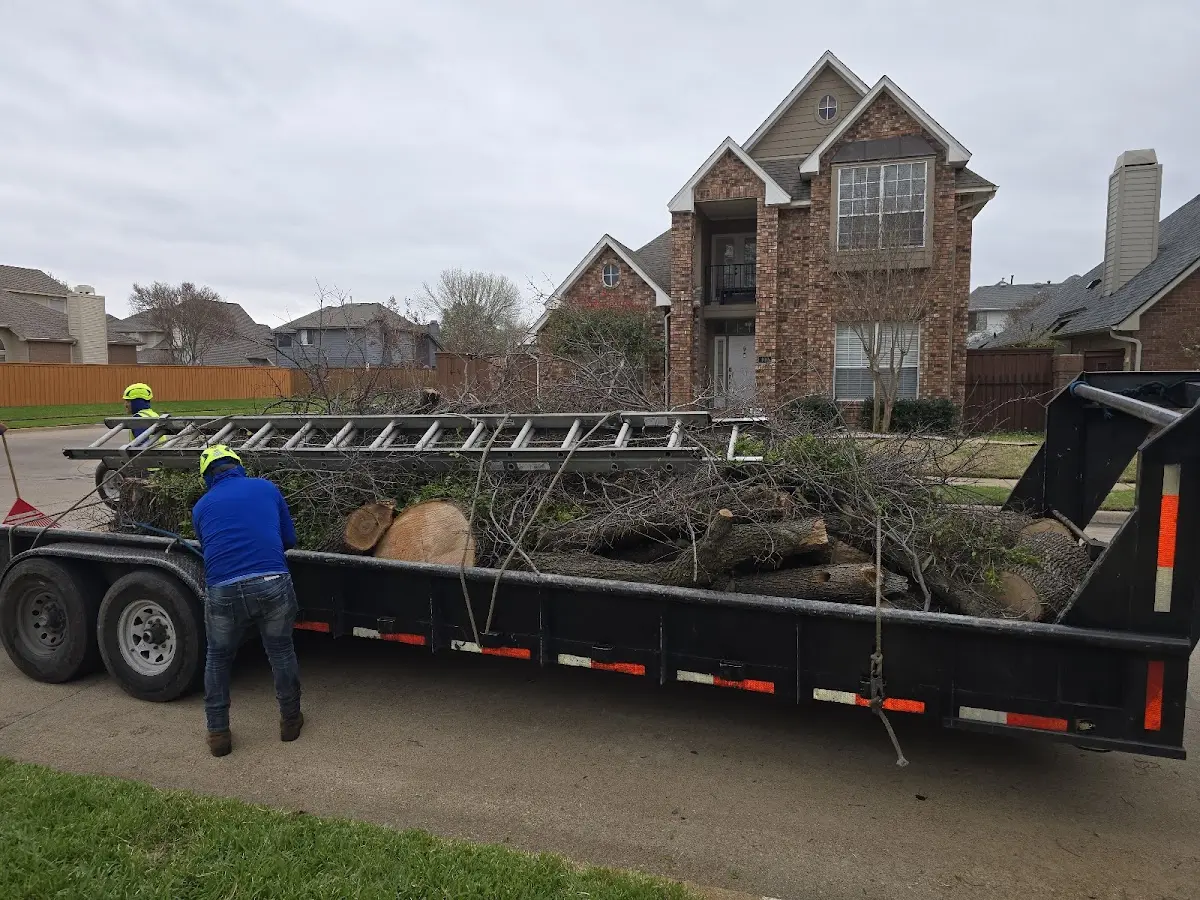 Expert Tree Fertilization with proper safety equipment in Millfield
